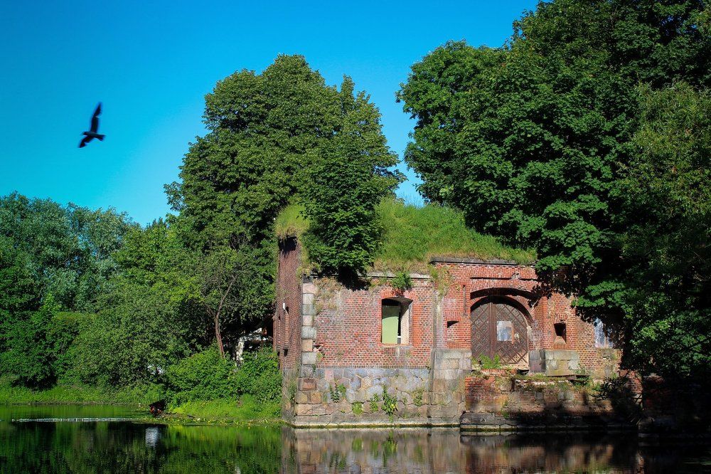 Калининградские равилины