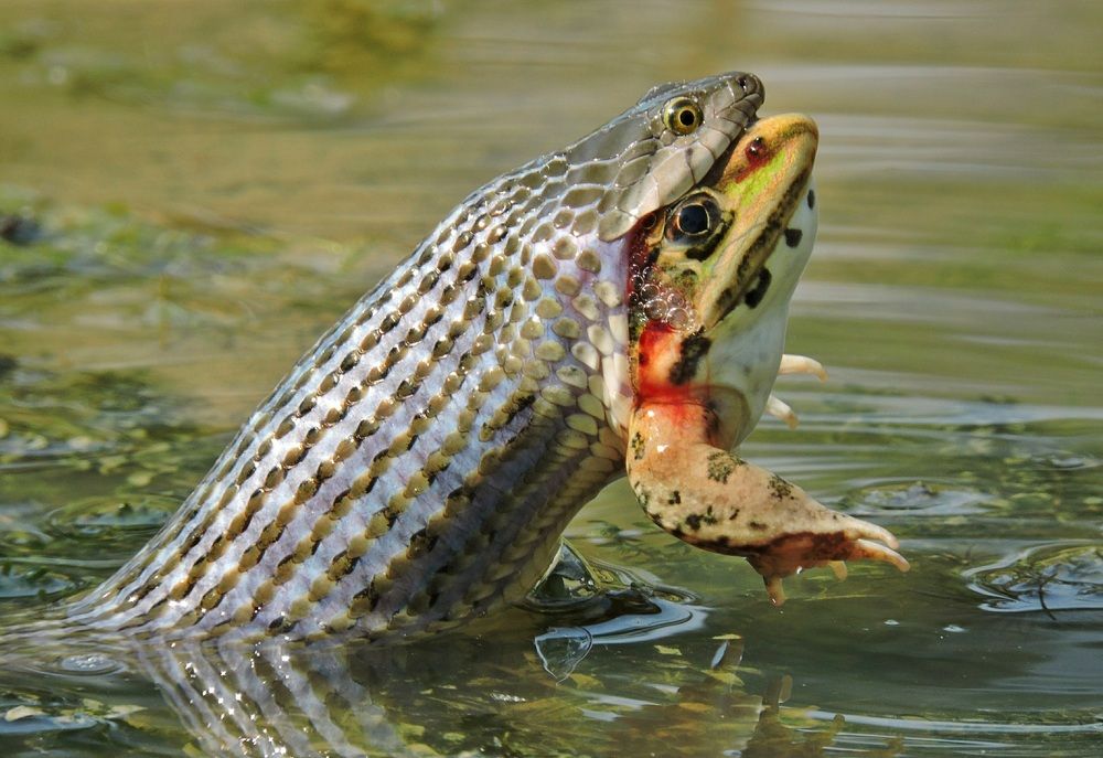 I m gonna live till i die