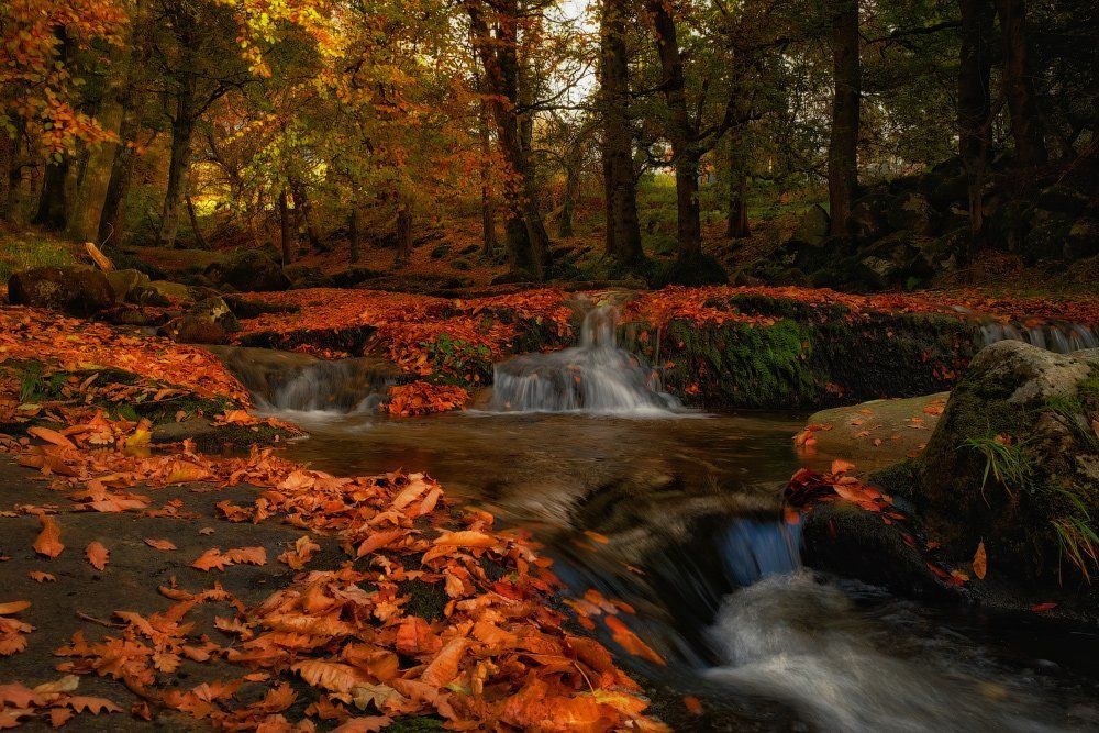 ...The Kingdome of mellow autumn...