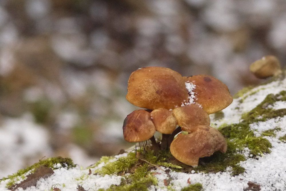 Photograph by Тим Талер