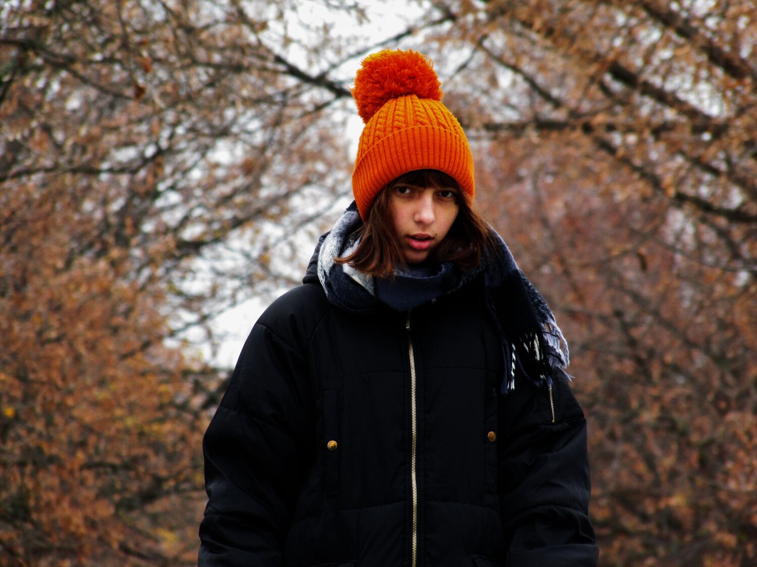 Photo #1569992