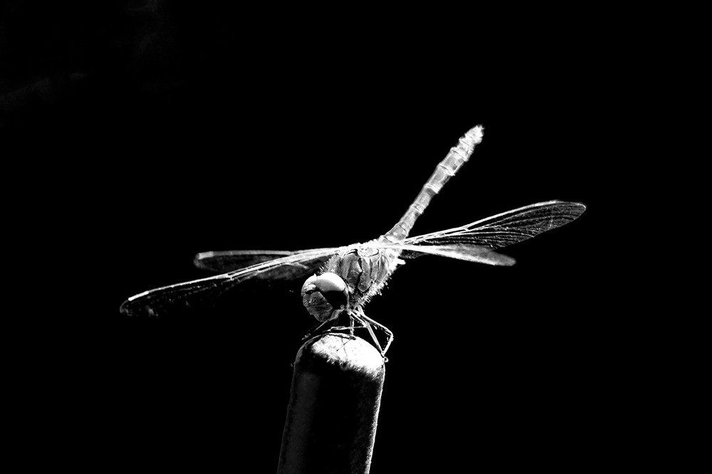 Под солнцем