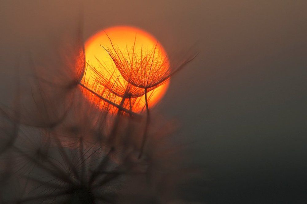 Таинственный закат.