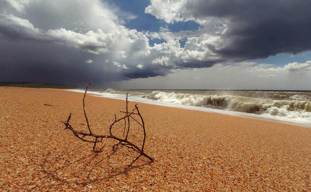 Между ураганов