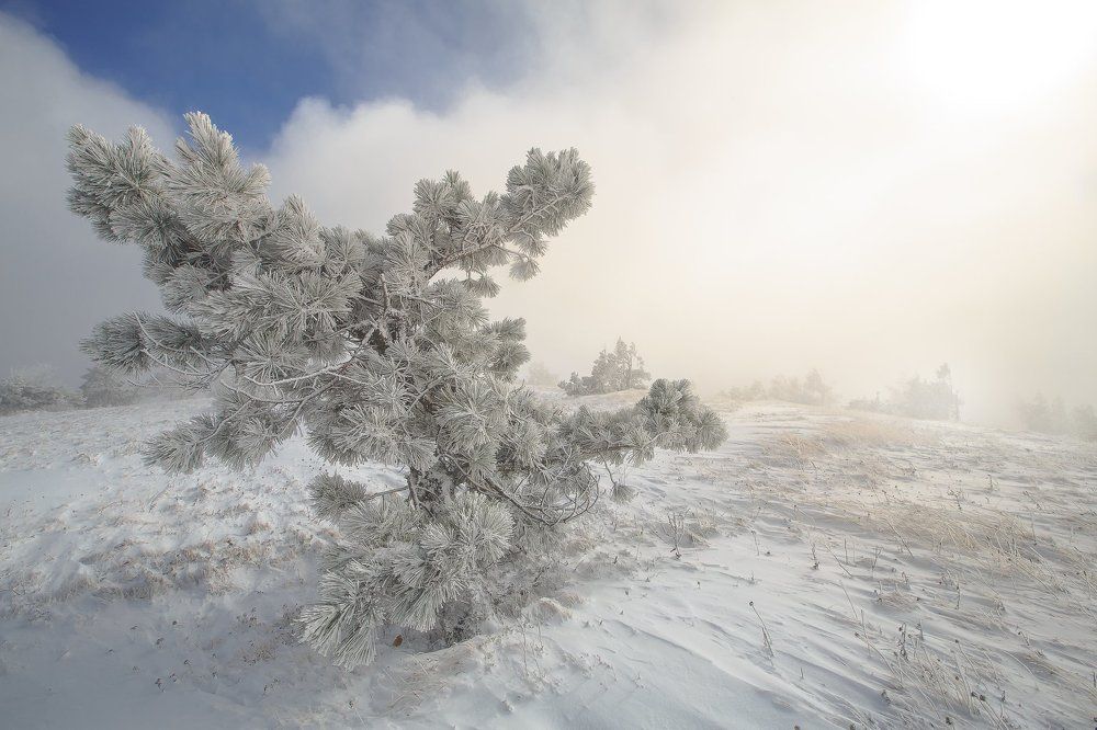 Аномалии Крымской осени