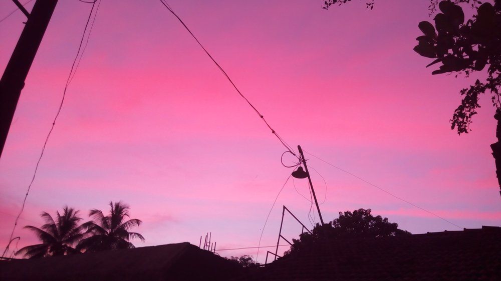 The pink skyyyy.