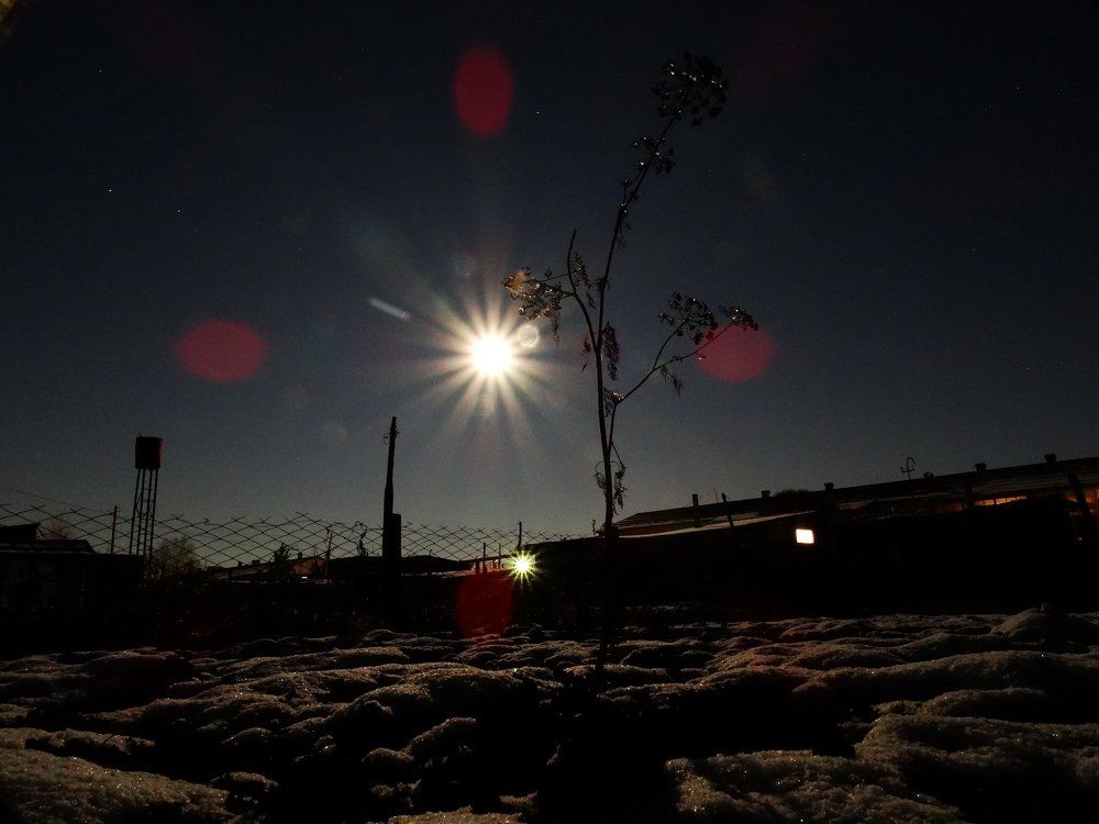 зимний вечер