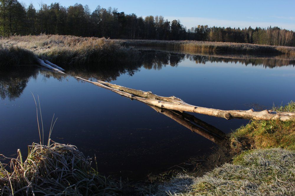 Мост в Зазеркалье