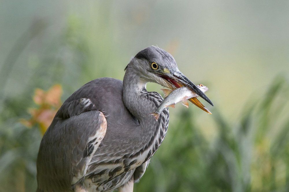 Photograph by Дмитрий Вилюнов