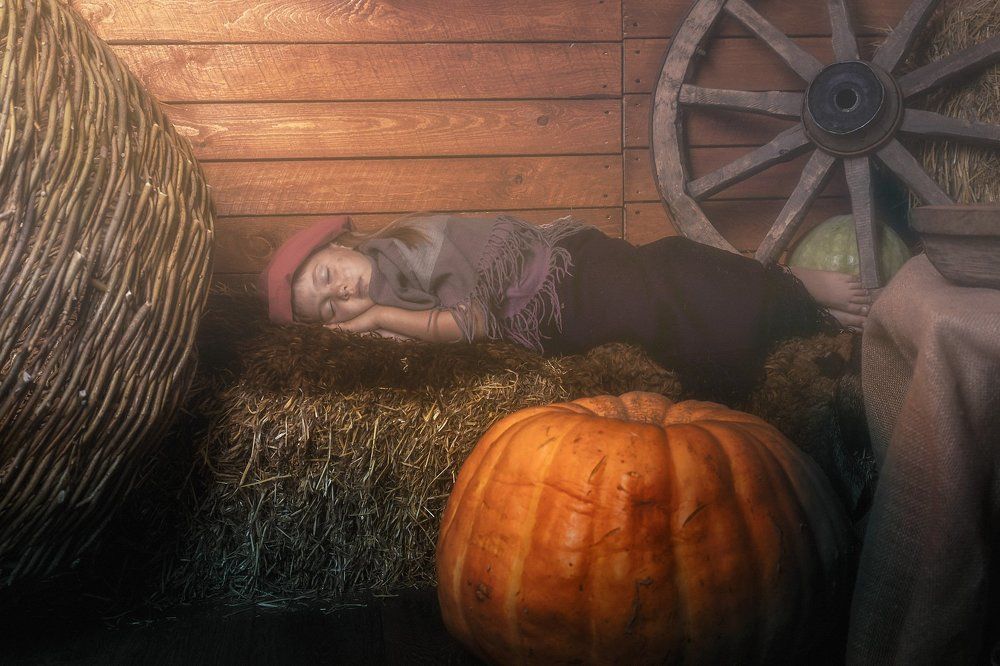 Девочка в амбаре