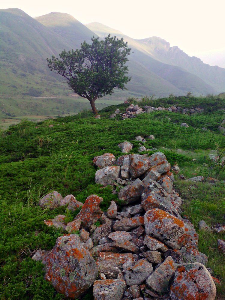 Photograph by Валерий Терехов