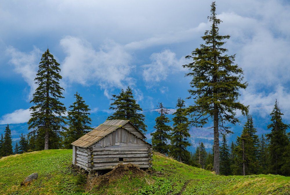 На полонині