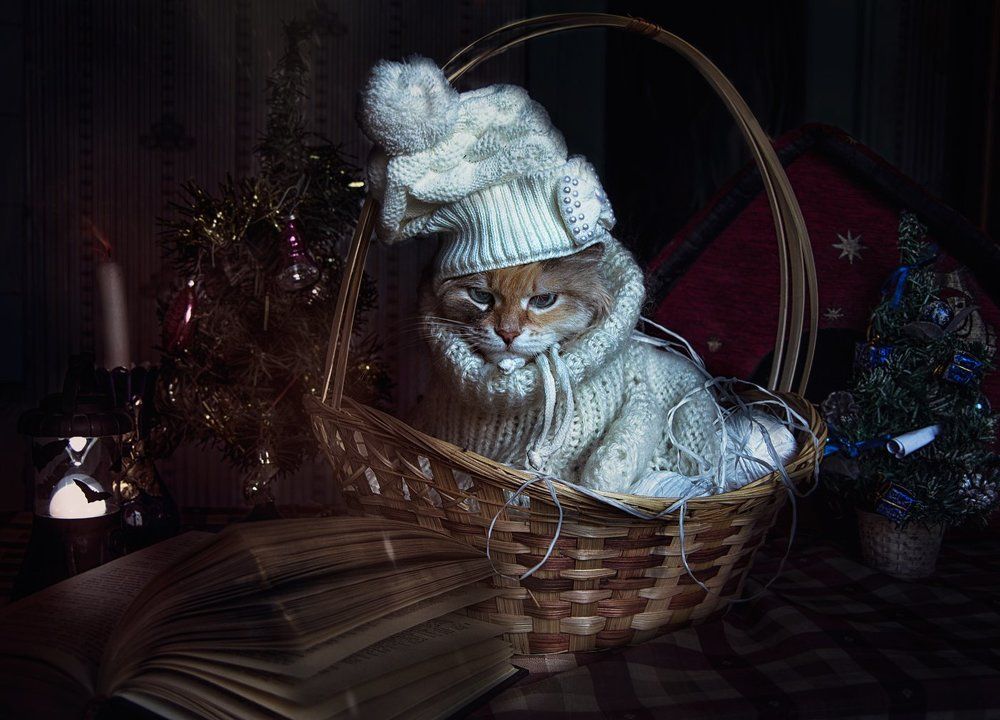 Лизины сказки