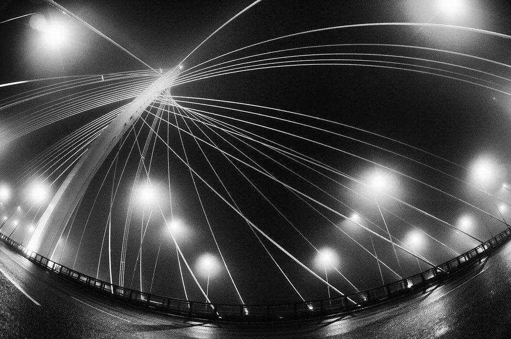 Сороконожка