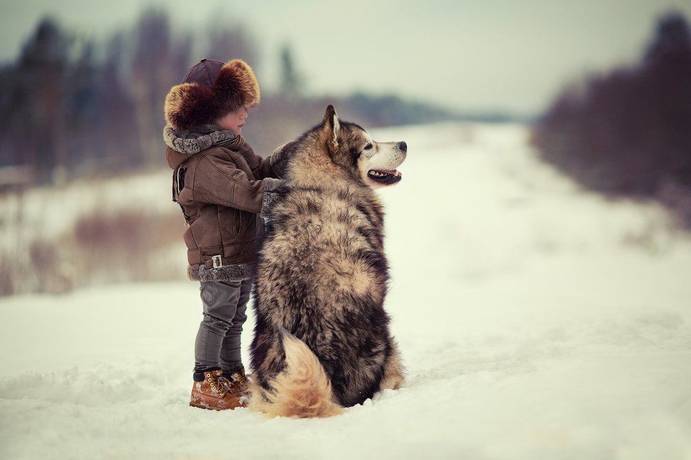 Friends