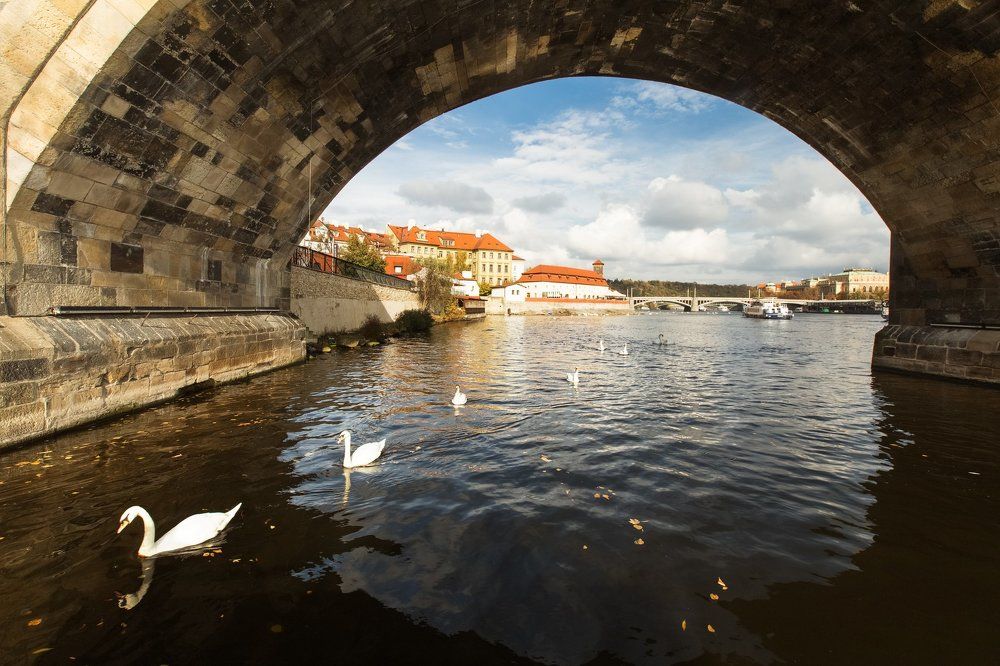 Белые кораблики