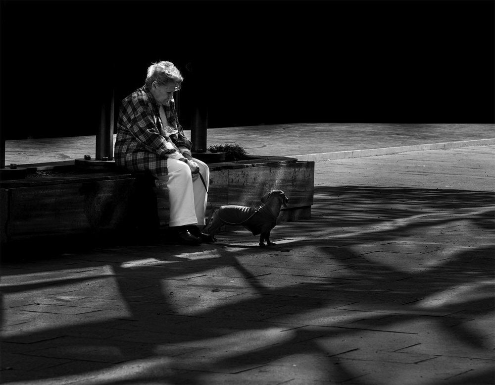 Her soul and her dog