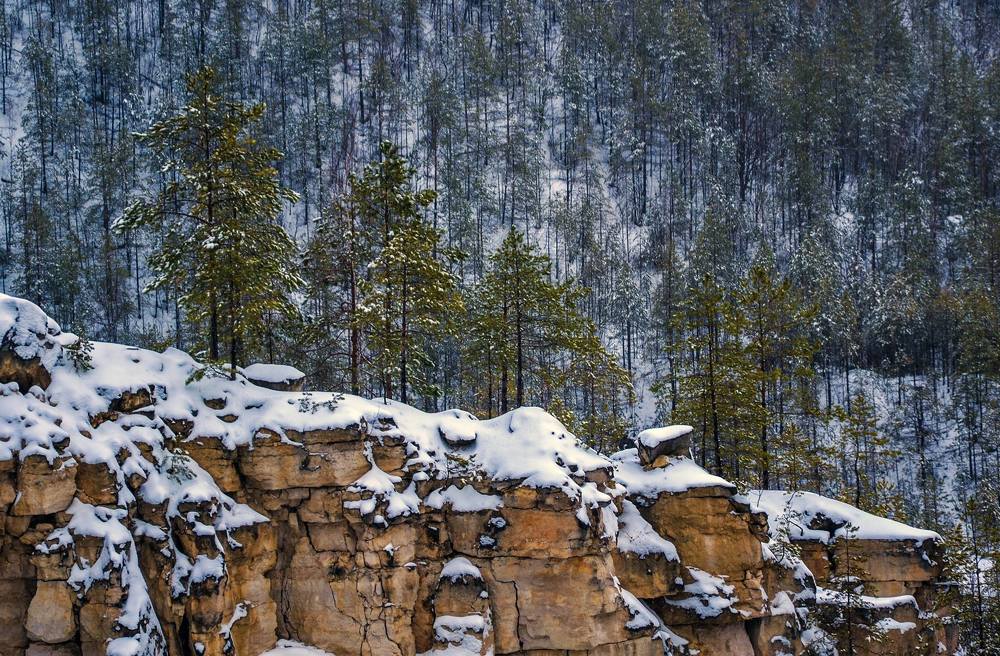 Наблюдатели