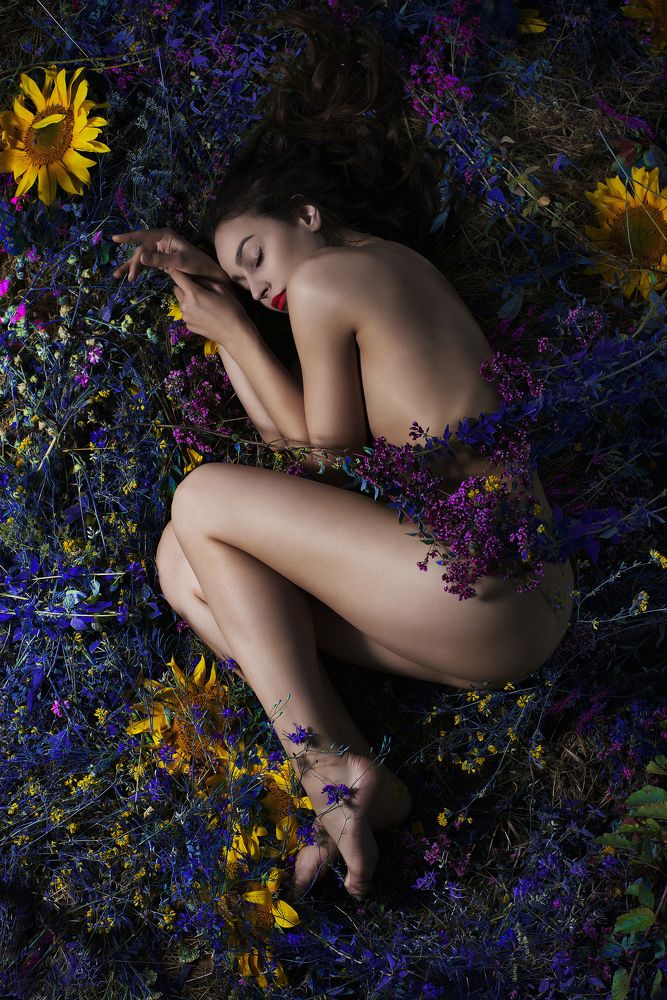 Цветочные сны