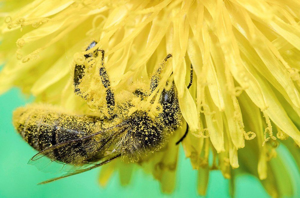 Пыльная работа