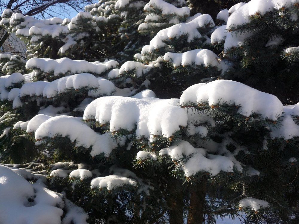 Photograph by Ирина