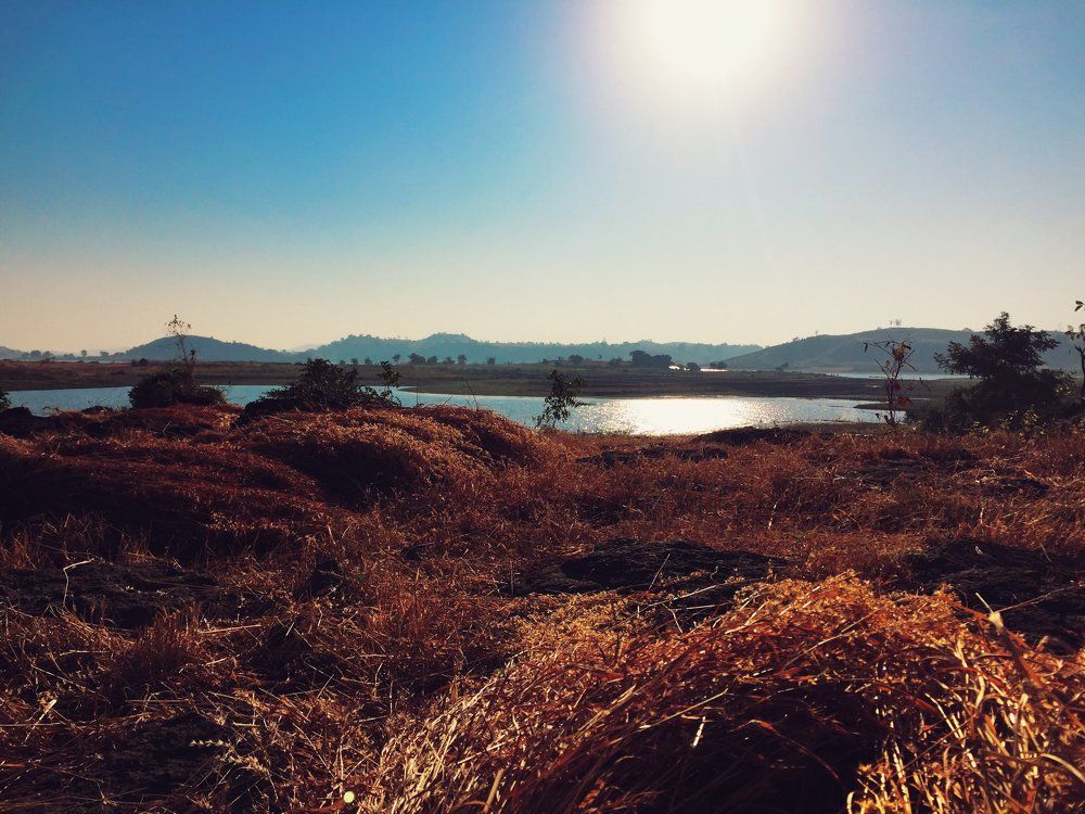 Golden nest against the splendid landscape