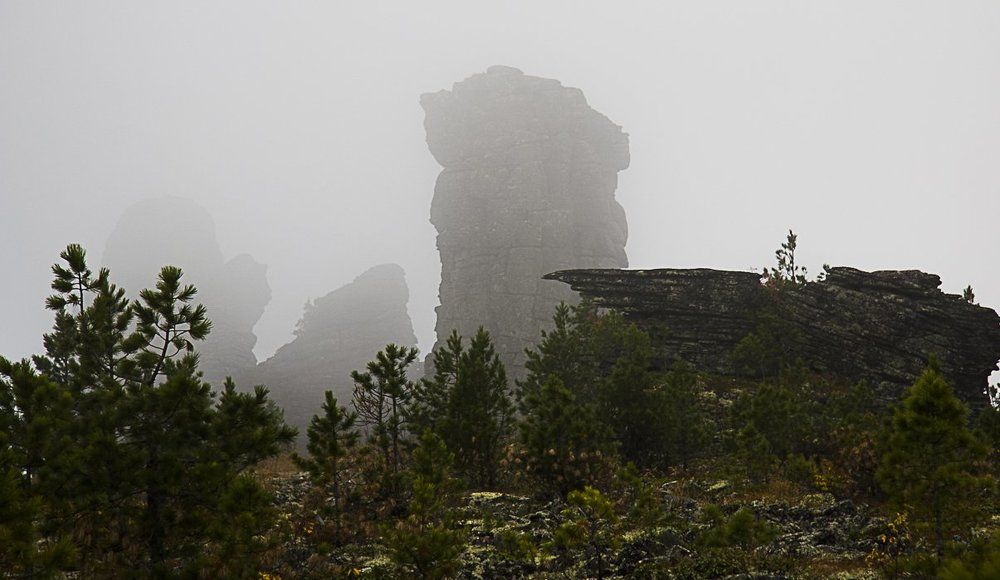 Кутурчины в плену Морфея