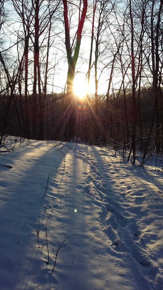 Photo #1573832