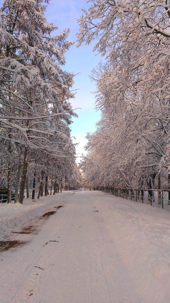 Мороз и солнце