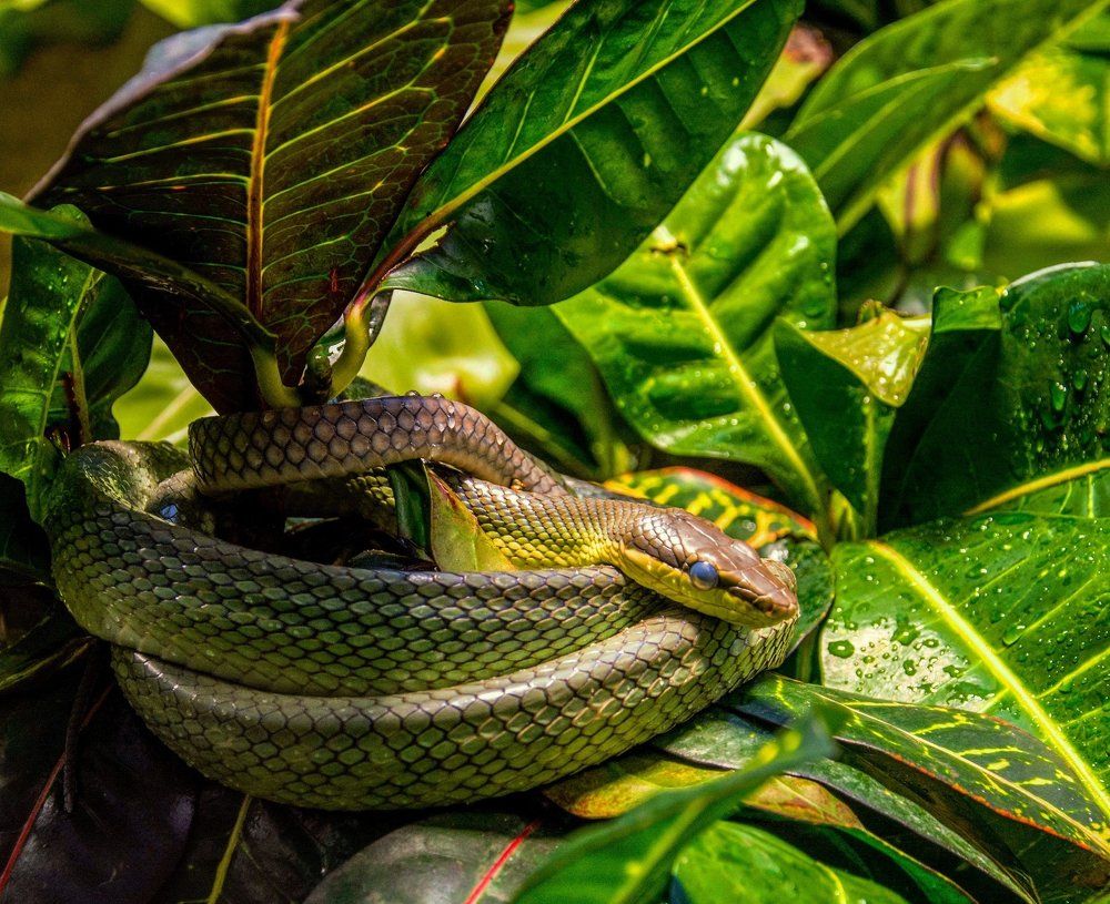 Фотография автора Евгений Глембоцкий