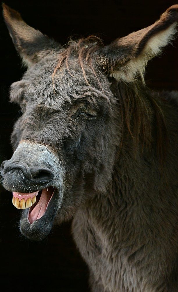 Photograph by Кибардина Лариса