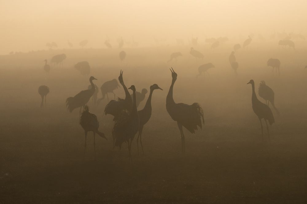 Hula Lake Park