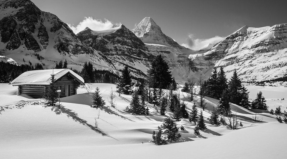 УТОПАЯ В СНЕГУ