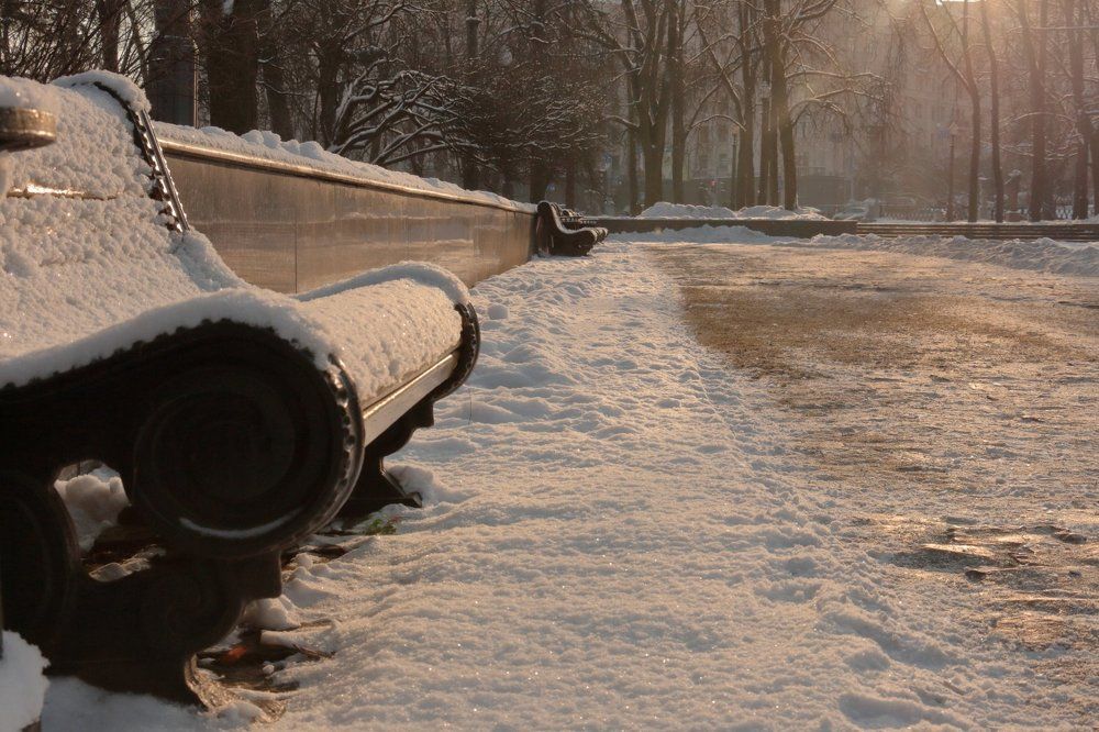 Зима в городском парке