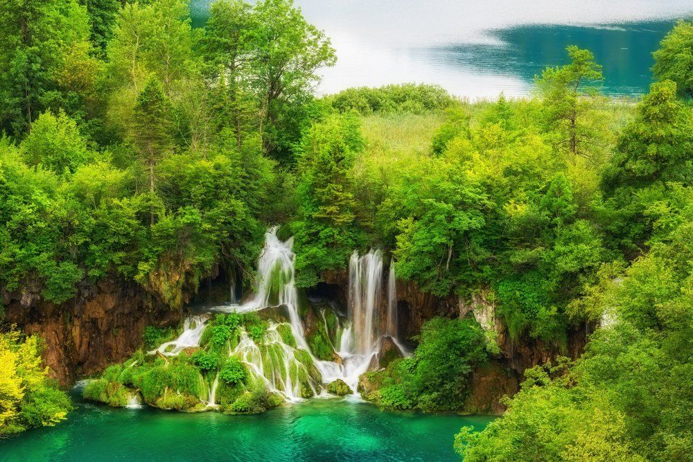 Shades of green