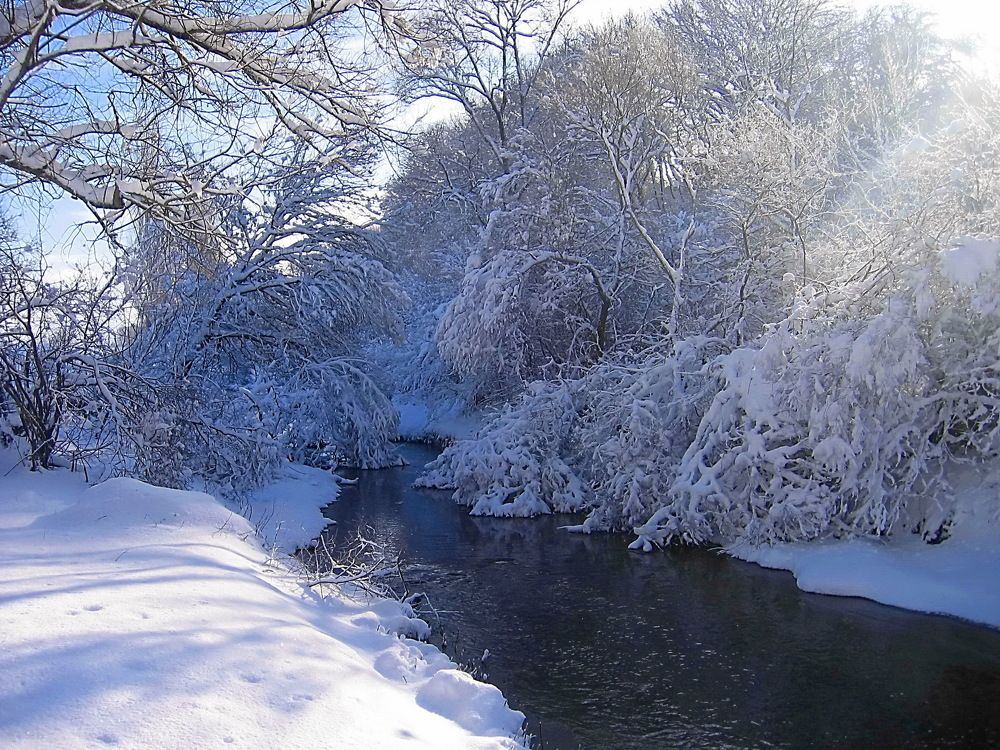 Солнечный лучик.