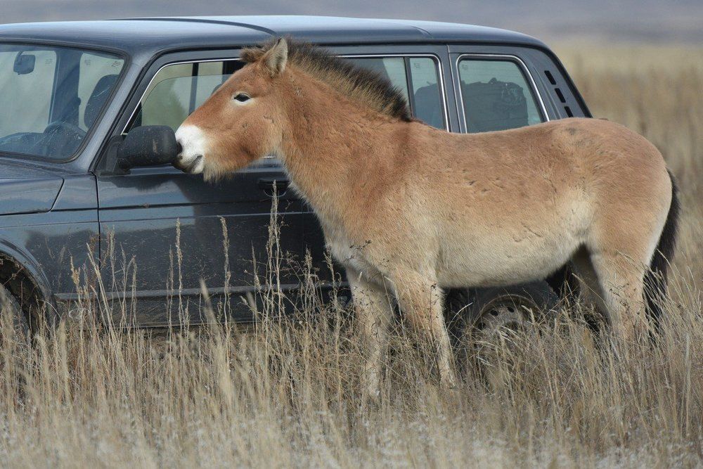 Свет мой зеркальце, скажи!