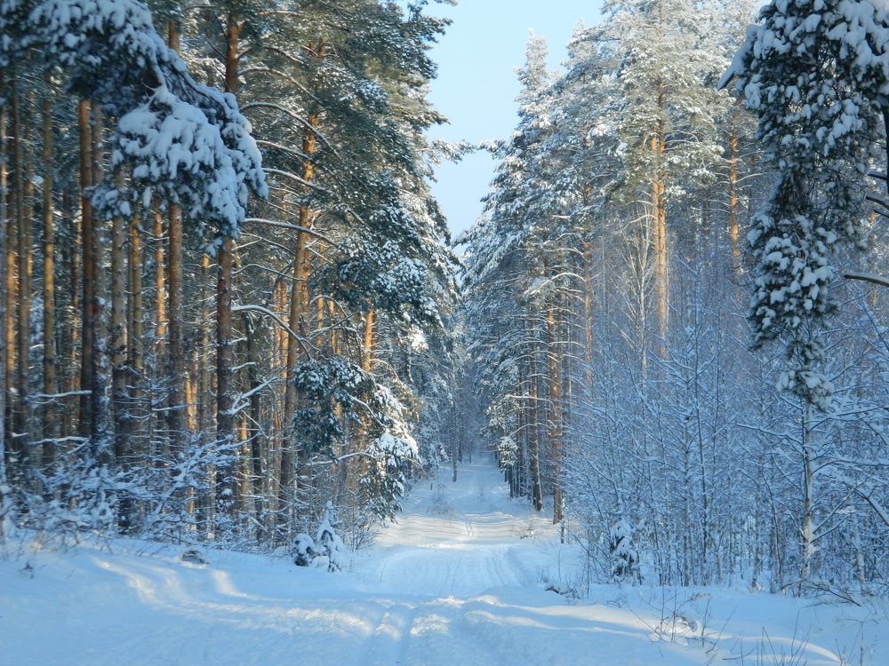 Photograph by Валерий Гудков