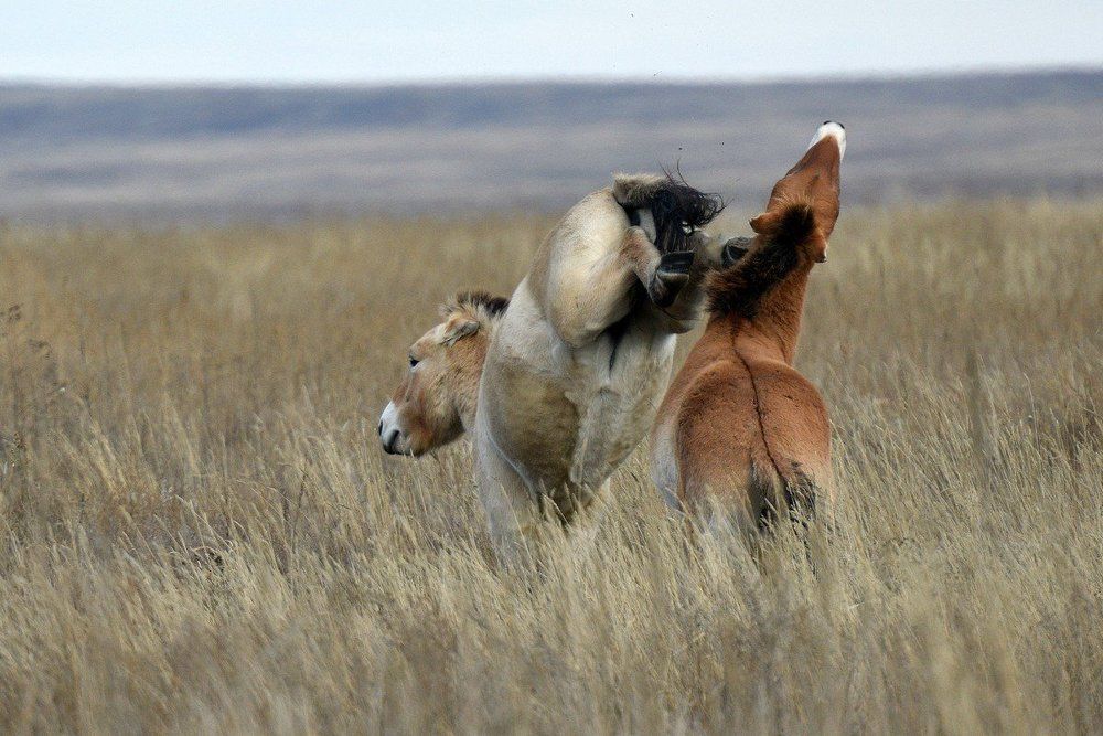 Я - обиделась!