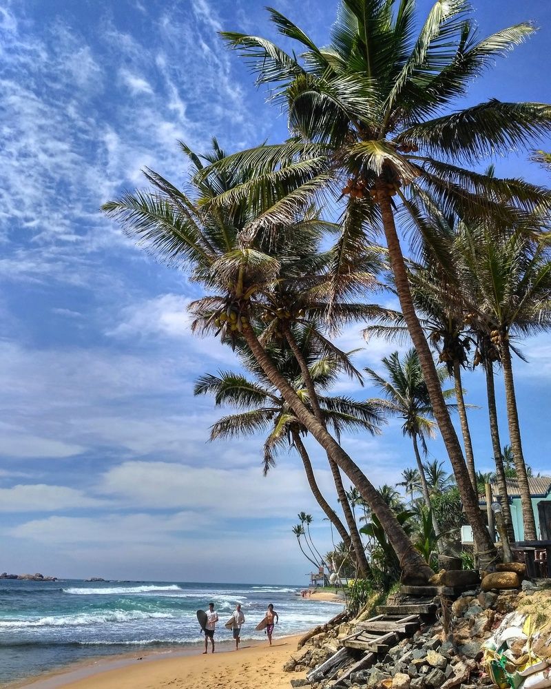 сёрферы на тропическом пляже