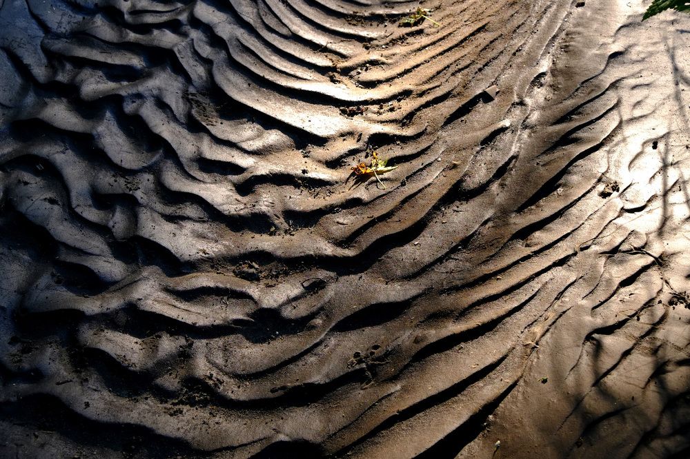 По следам воды