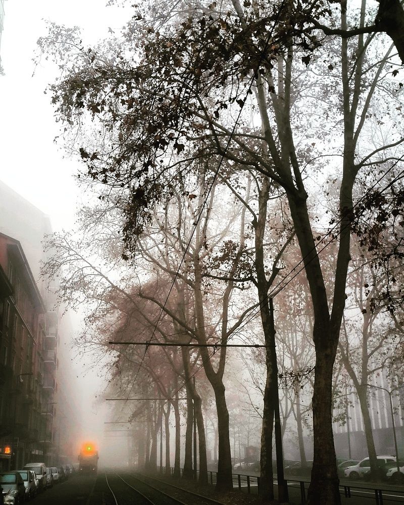 Milano winter 2016-early morning fog