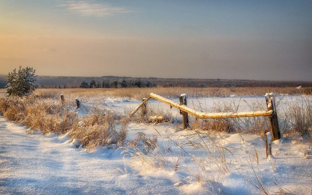 Мы стараемся от жизни не отстать.