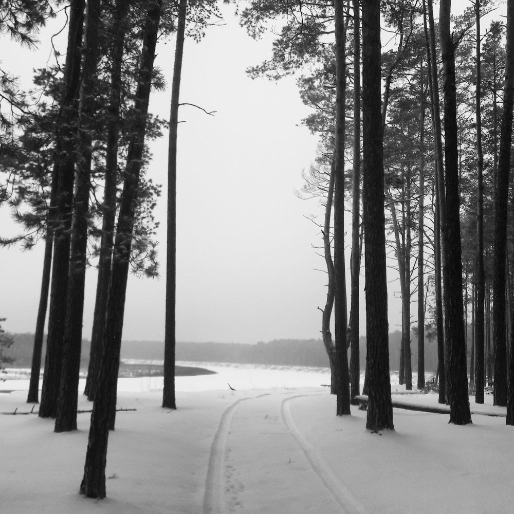 Дорога к себе