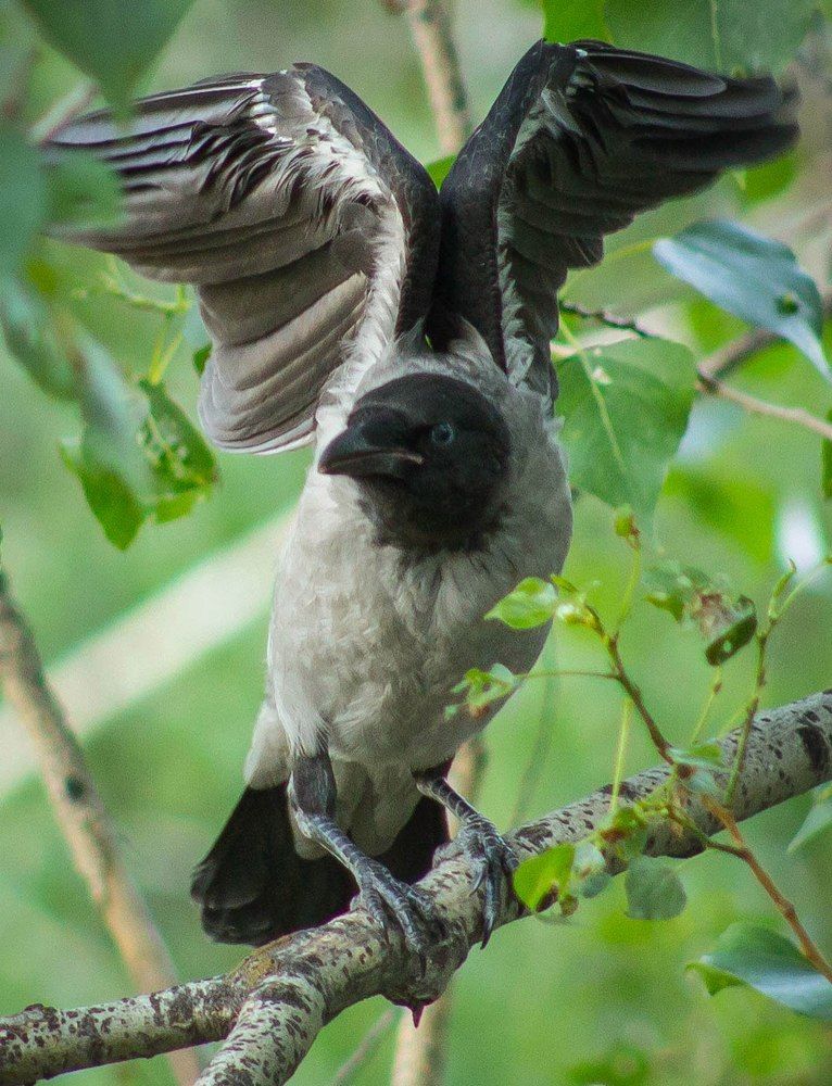 Photograph by Александр