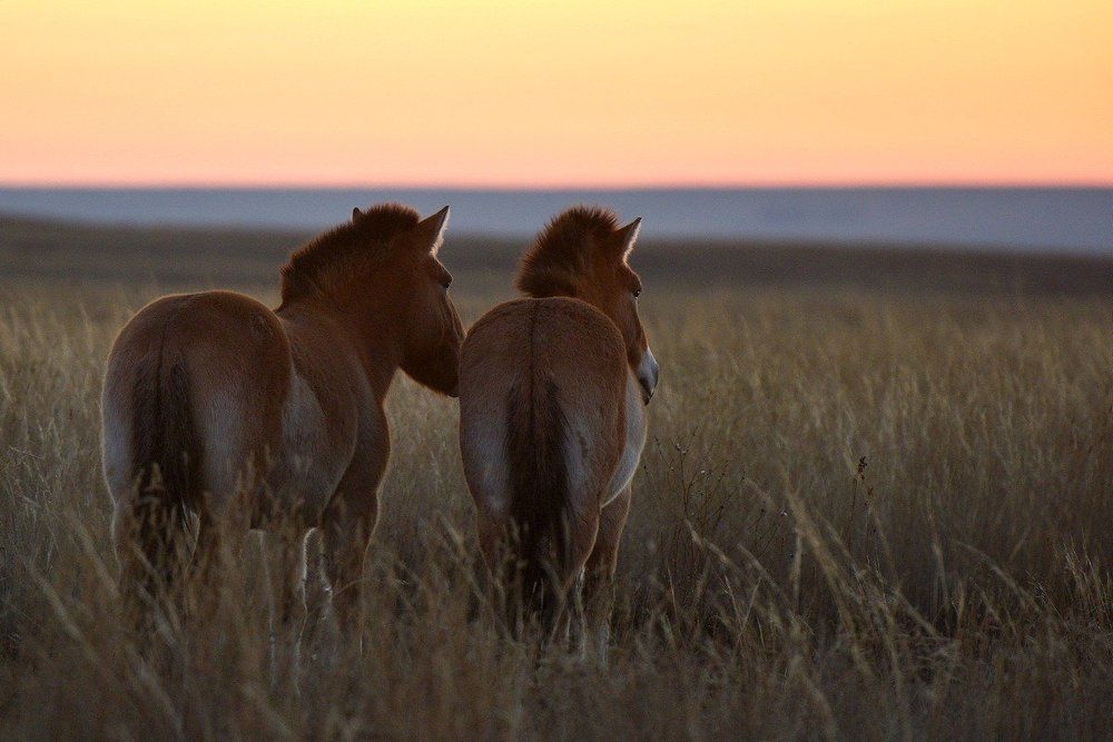 Тайное свидание