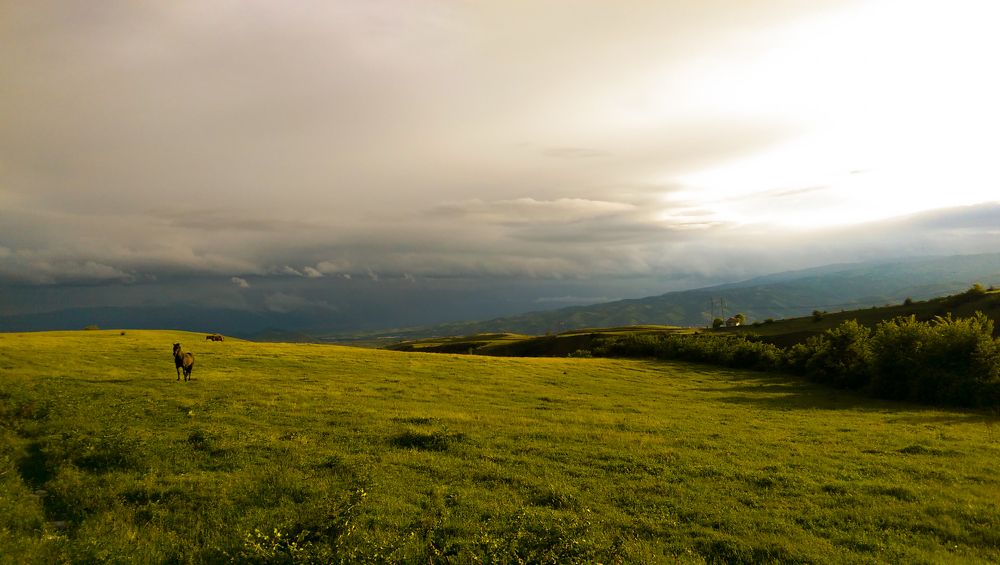 Перед бурей