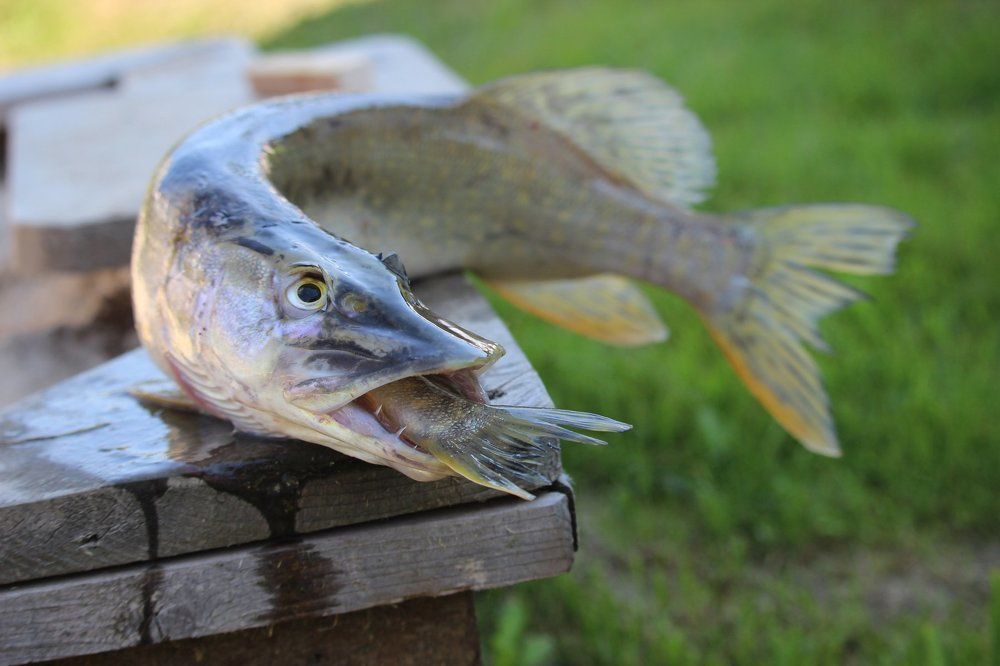 "Сегодня мой день"