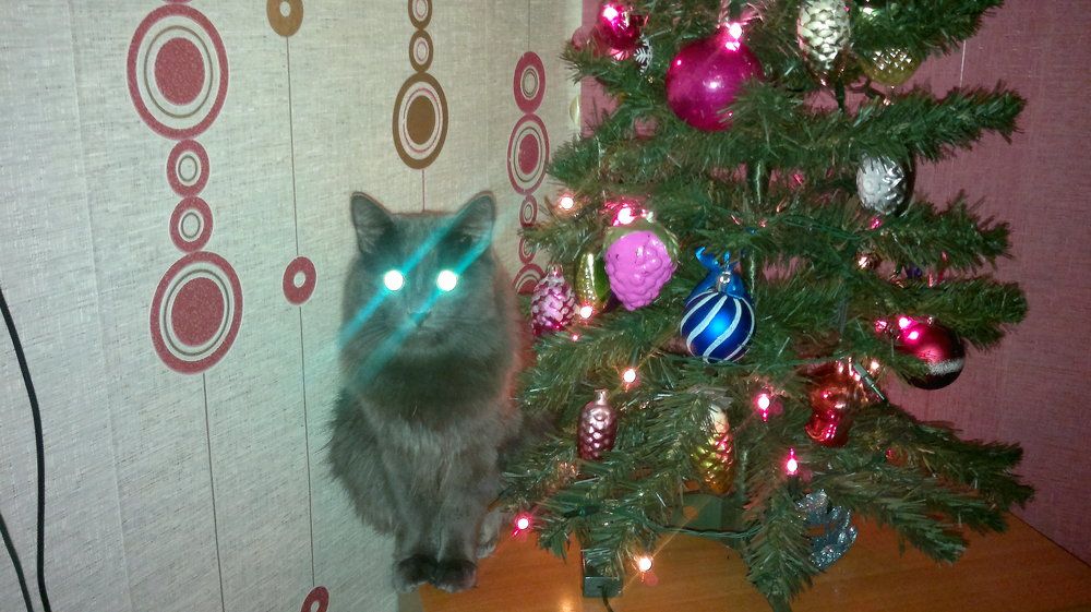 жду подарков