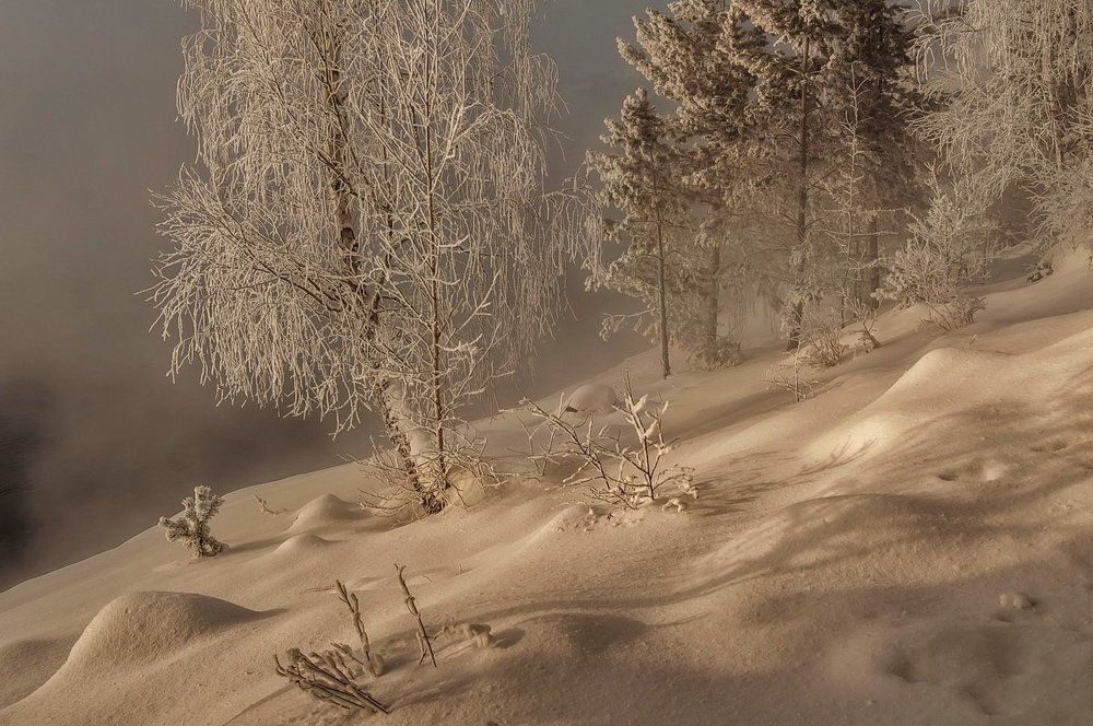 Зимний берег.